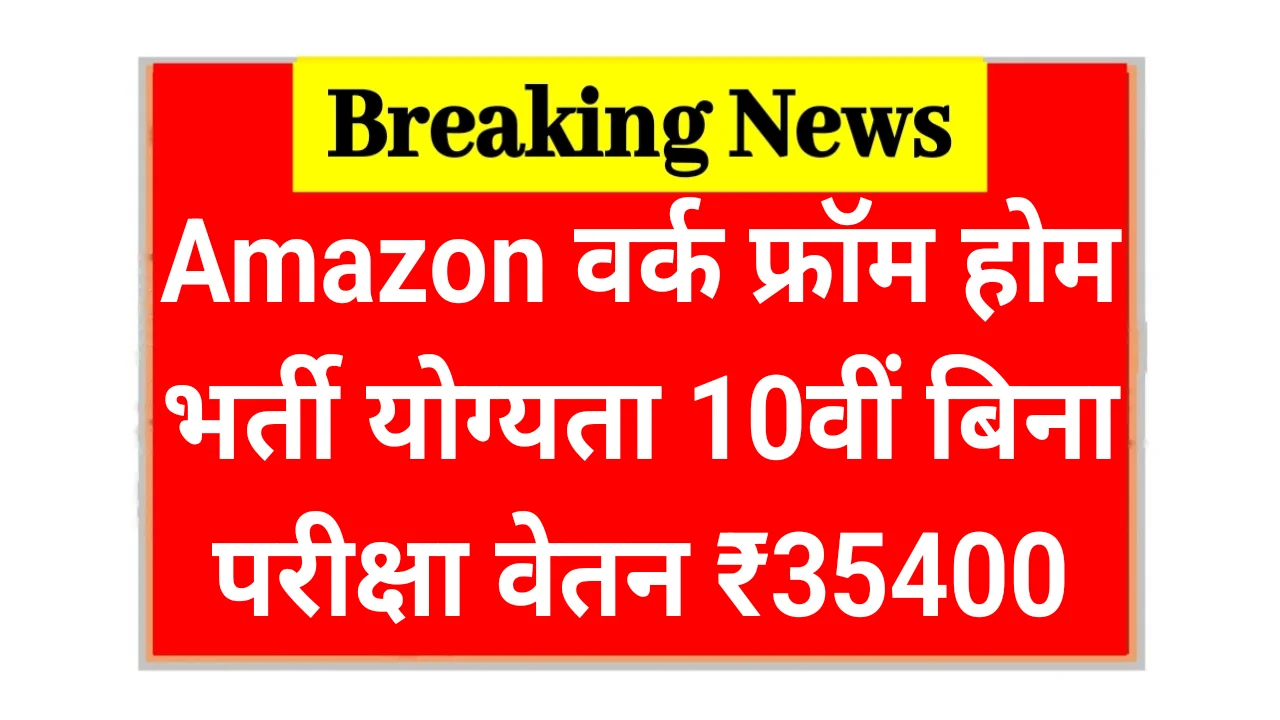 Amazon Work From Home Job