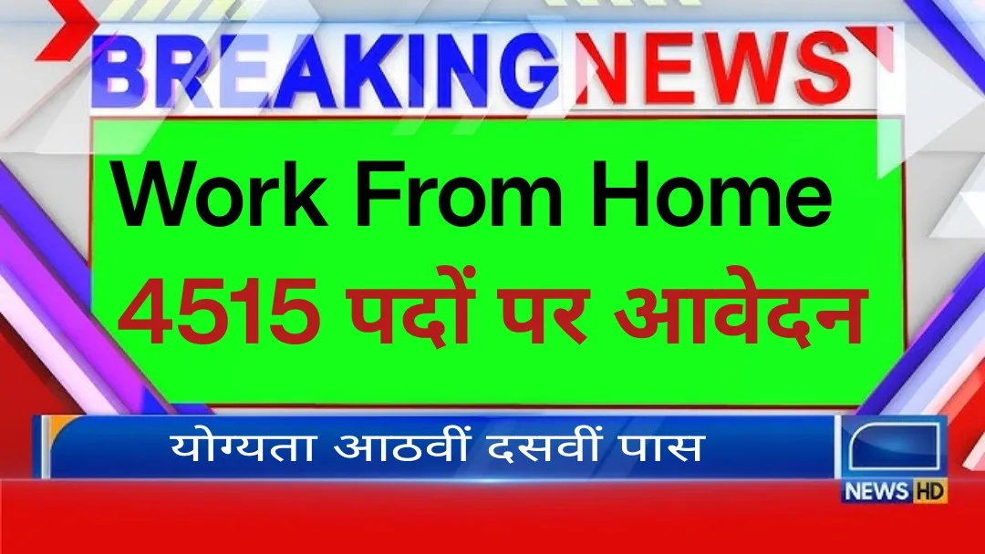 Govt Work From Home Job 2025